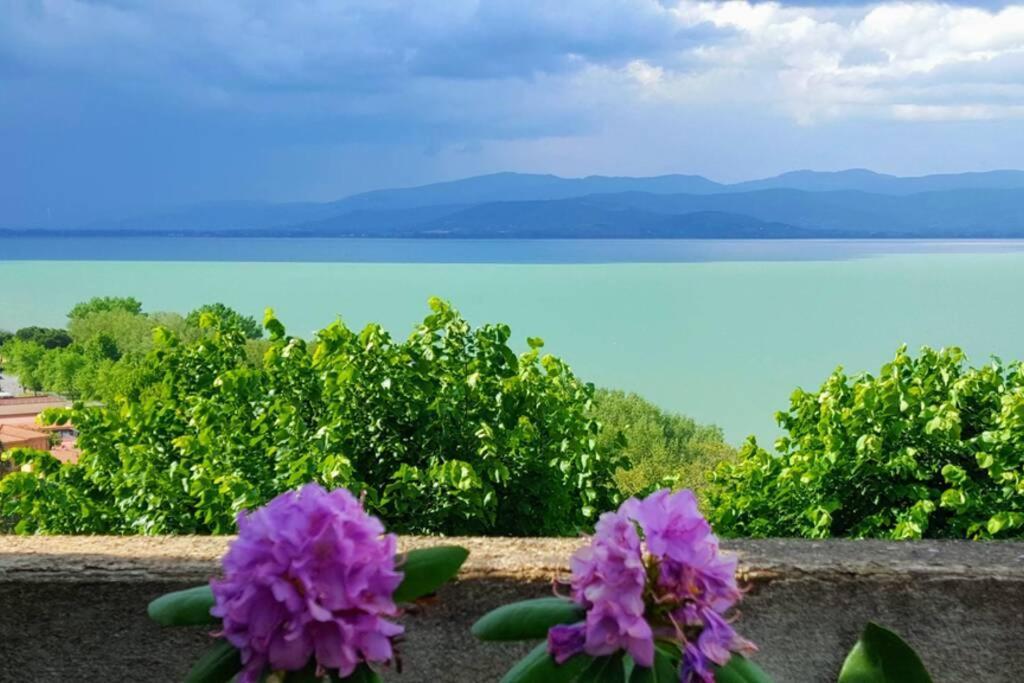 Bellavista La Tua Romantica Vacanza Sul Trasimeno カスティリオーネ・デル・ラーゴ エクステリア 写真