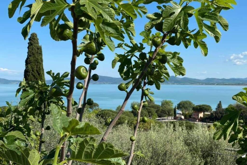 Bellavista La Tua Romantica Vacanza Sul Trasimeno カスティリオーネ・デル・ラーゴ エクステリア 写真
