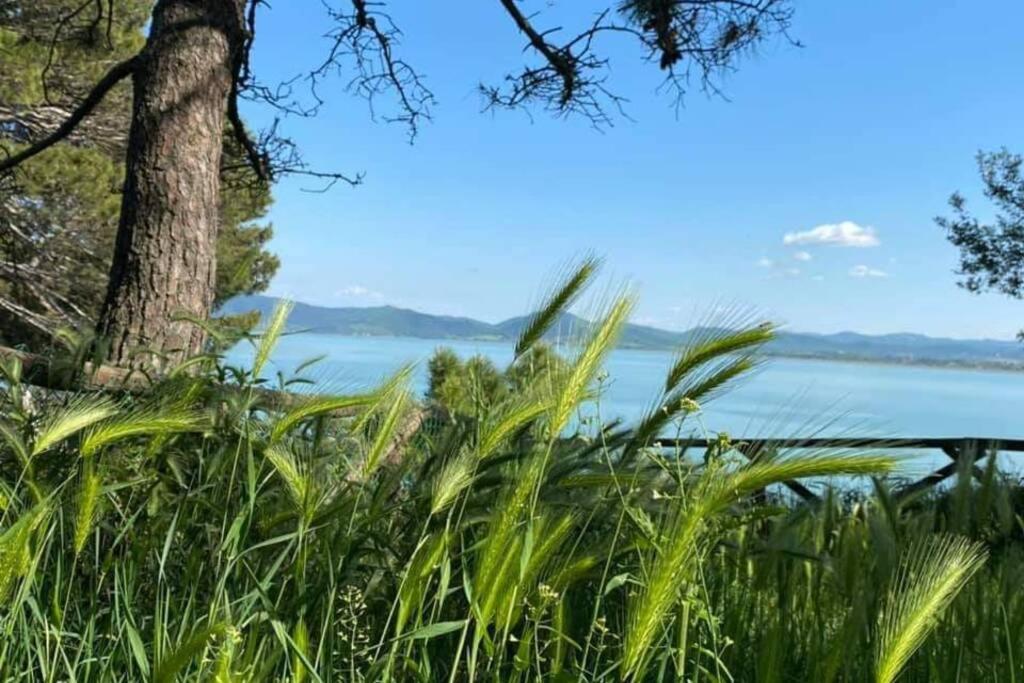 Bellavista La Tua Romantica Vacanza Sul Trasimeno カスティリオーネ・デル・ラーゴ エクステリア 写真